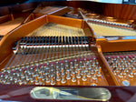 Bösendorfer Model 200 Grand Piano – Polished Mahogany (Pre-Owned, 1990) | Thompson Pianos