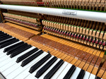 W.Hoffmann Upright Piano (Mole's Breath) | Thompson Pianos