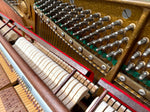 W.Hoffmann Upright Piano (Mole's Breath) | Thompson Pianos