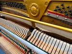 Yamaha Compact Upright Piano (Hague Blue) | Thompson Pianos