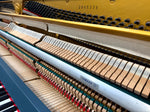 Yamaha Compact Upright Piano (Hague Blue) | Thompson Pianos